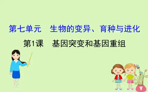 2019届高考生物一轮复习第七单元生物的变异育种与进化第1课基因突变和基因重组课件新人教版