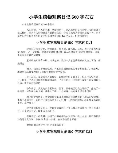 小学生植物观察日记500字左右