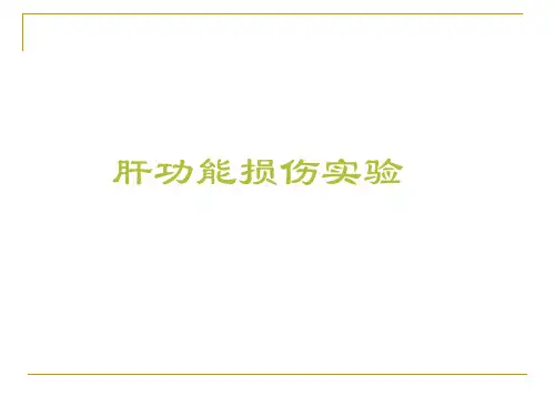 肝功能损伤实验-副本