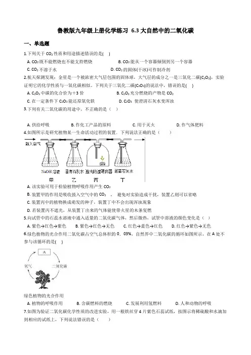 鲁教版九年级上册化学练习 6.3大自然中的二氧化碳