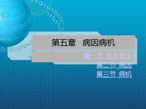 中兽医第五章病因病机