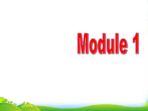 外研版九年级英语下册Module 1 TravelUnit 2优质课课件(共40张PPT)
