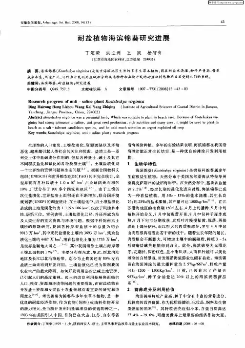 耐盐植物海滨锦葵研究进展