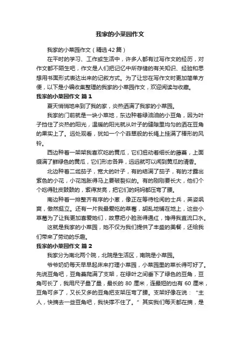 我家的小菜园作文（精选42篇）