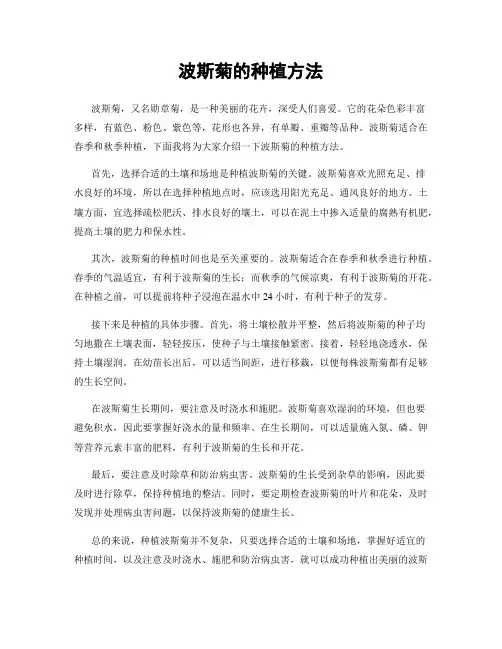 波斯菊的种植方法