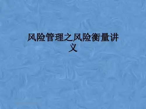 风险管理之风险衡量讲义