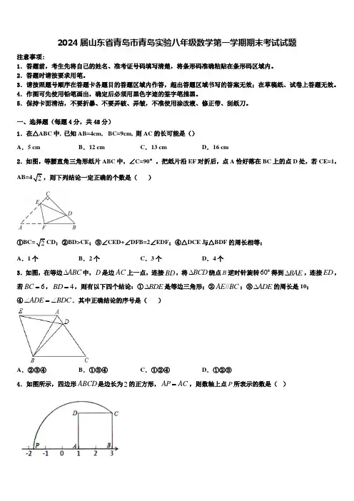 2024届山东省青岛市青岛实验八年级数学第一学期期末考试试题含解析