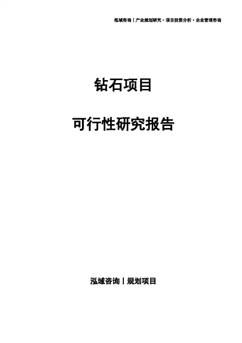 钻石项目可行性研究报告