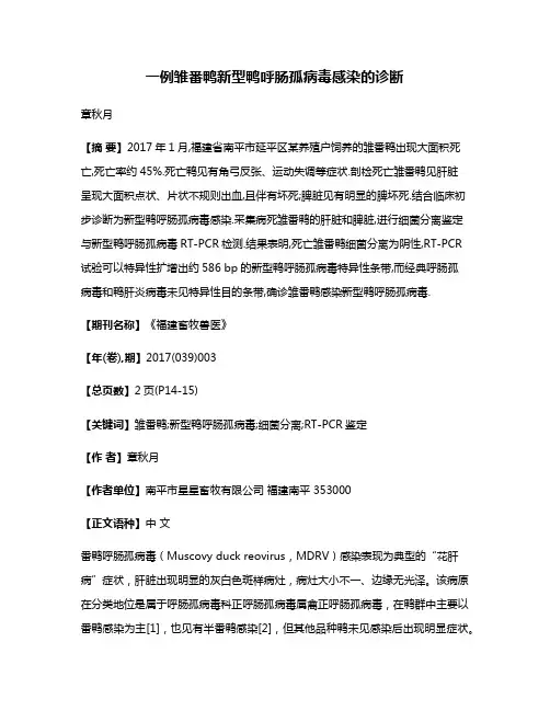 一例雏番鸭新型鸭呼肠孤病毒感染的诊断