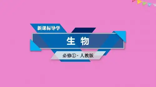 2019版高中生物第三章细胞的基本结构第3节细胞核__系统的控制中心课件新人教版必修1201808142139