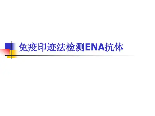 临床免疫学：免疫印迹法检测ENA抗体
