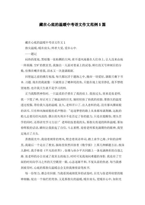 藏在心底的温暖中考语文作文范例5篇