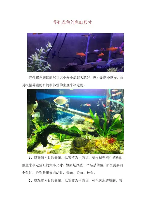 养孔雀鱼的鱼缸尺寸