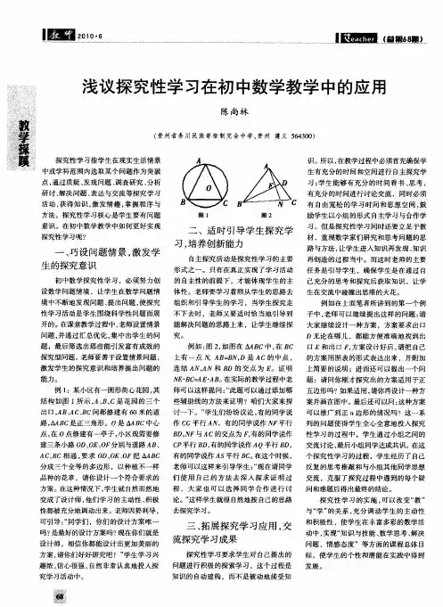 浅议探究性学习在初中数学教学中的应用