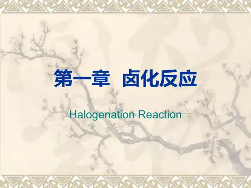 药物合成反应 卤化反应