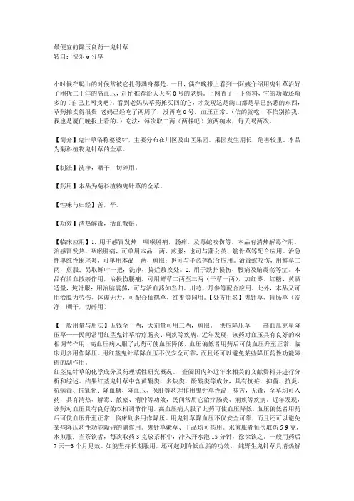 最便宜的降压良药鬼针草