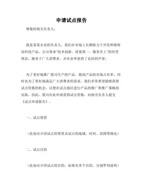 申请试点报告