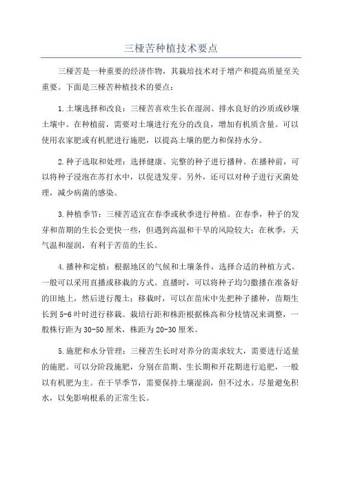 三桠苦种植技术要点