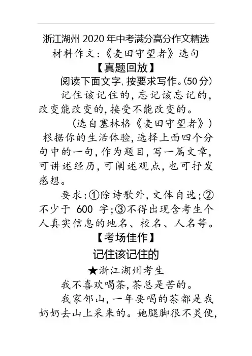 记住该记住的(我不喜欢喝) 湖州2020年中考满分作文