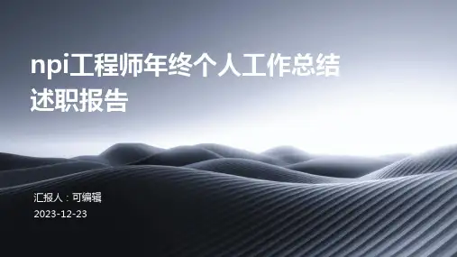NPI工程师年终个人工作总结述职报告