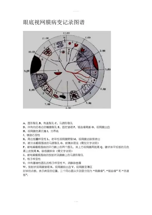 眼底视网膜病变记录图谱