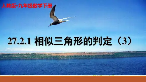 《相似三角形的判定》PPT人教版1