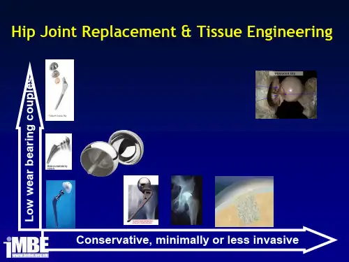 组织工程TissueEngineering