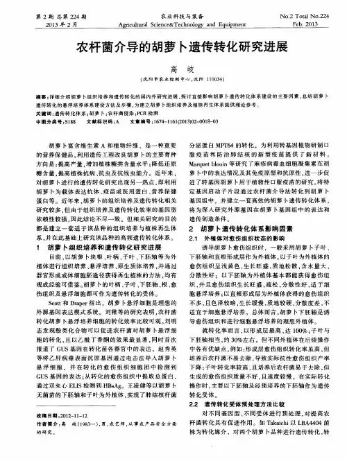 农杆菌介导的胡萝卜遗传转化研究进展