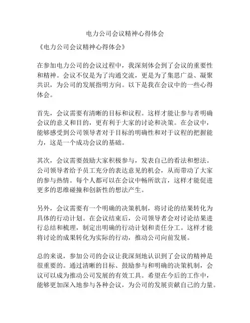 电力公司会议精神心得体会