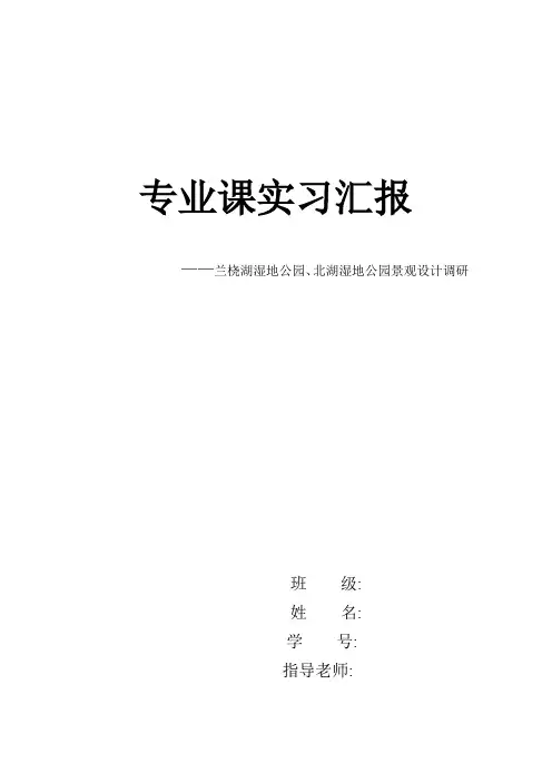 长春北湖公园调研分析报告