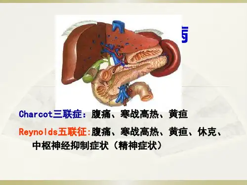 胆道疾病ppt课件