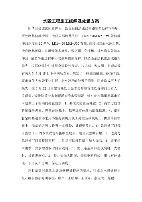 水毁工程处置方案