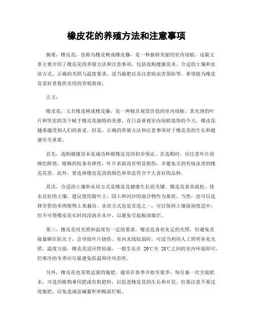橡皮花的养殖方法和注意事项
