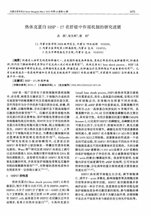 热休克蛋白HSP-27在肝癌中作用机制的研究进展