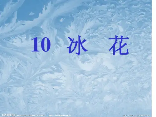小学语文一年级上册《冰花》课件(1)