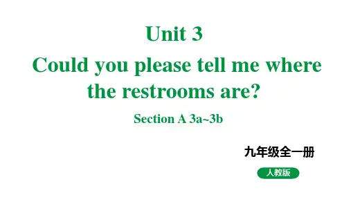 人教新目标版九全英语 Unit3 SectionA 3a~3b 教学课件