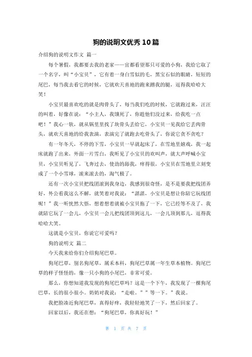 狗的说明文优秀10篇