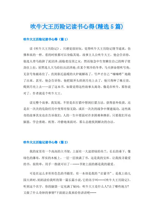 吹牛大王历险记读书心得(精选5篇)