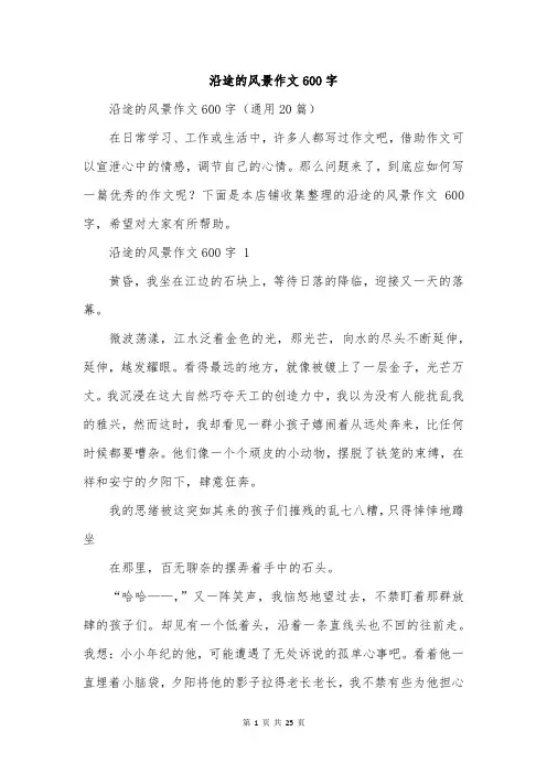 沿途的风景作文600字