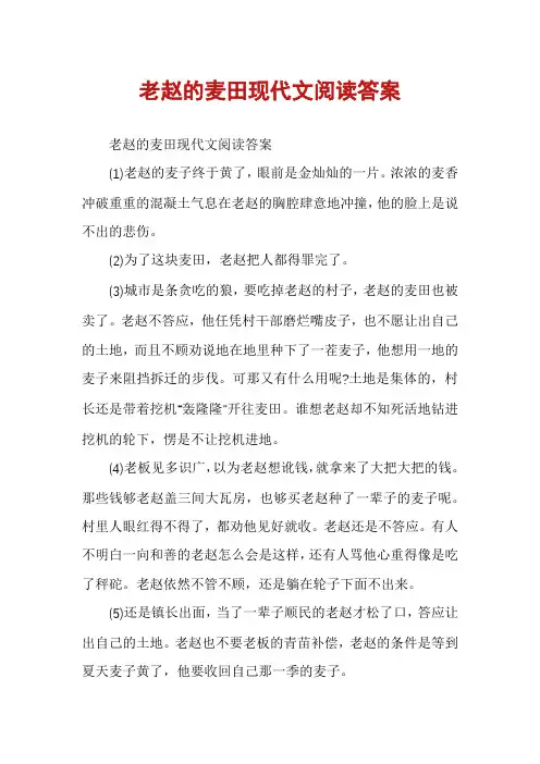 老赵的麦田现代文阅读答案