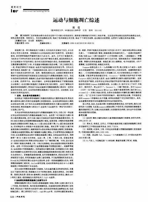 运动与细胞凋亡综述