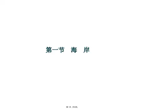 高二地理新人教版选修二课件海岸