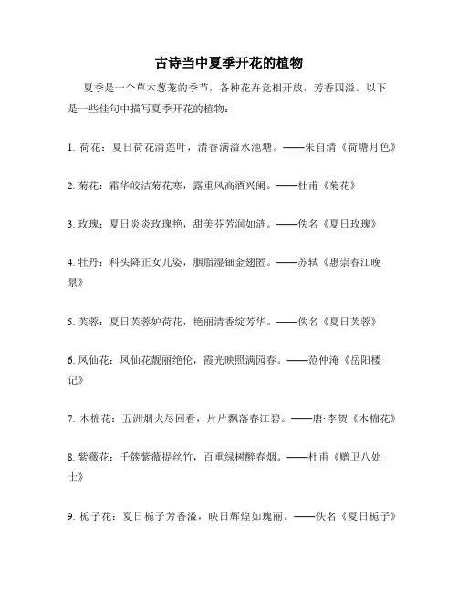 古诗当中夏季开花的植物