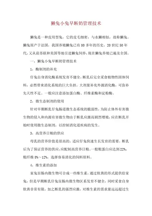 獭兔小兔早断奶管理技术