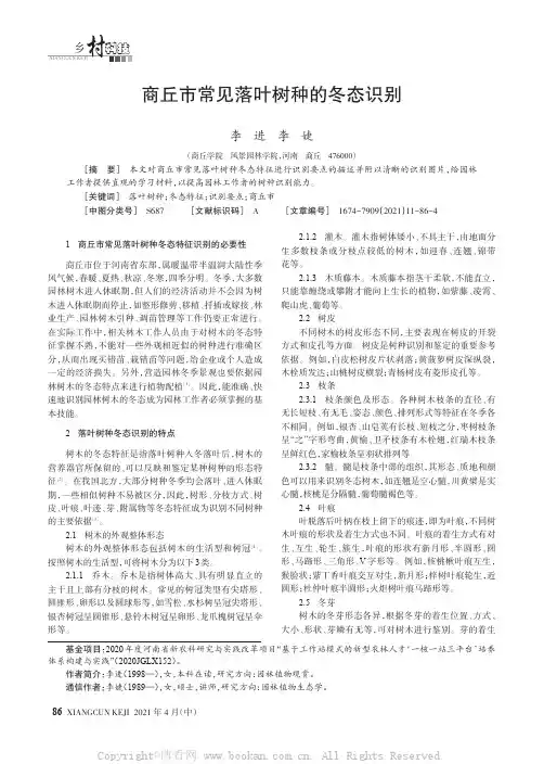 商丘市常见落叶树种的冬态识别