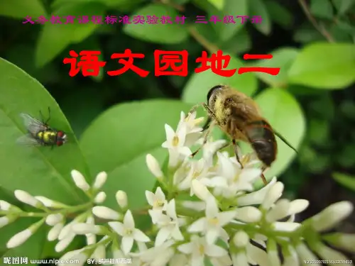 人教版小学三年级下册《语文园地二》 2