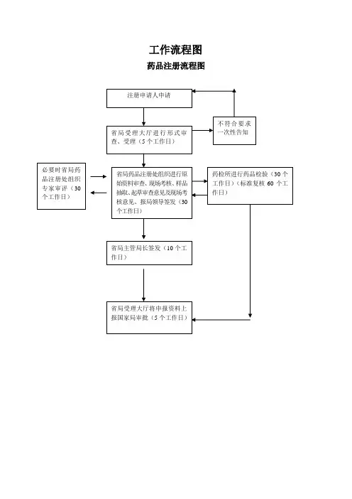 《药品注册流程》word版