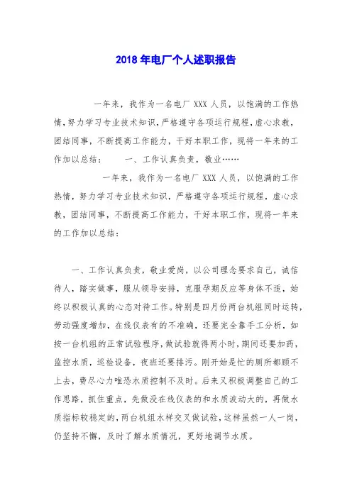 2018年电厂个人述职报告