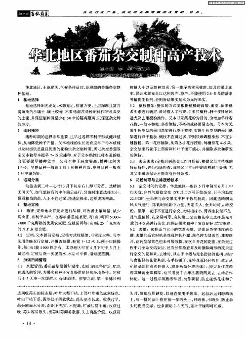 华北地区番茄杂交制种高产技术