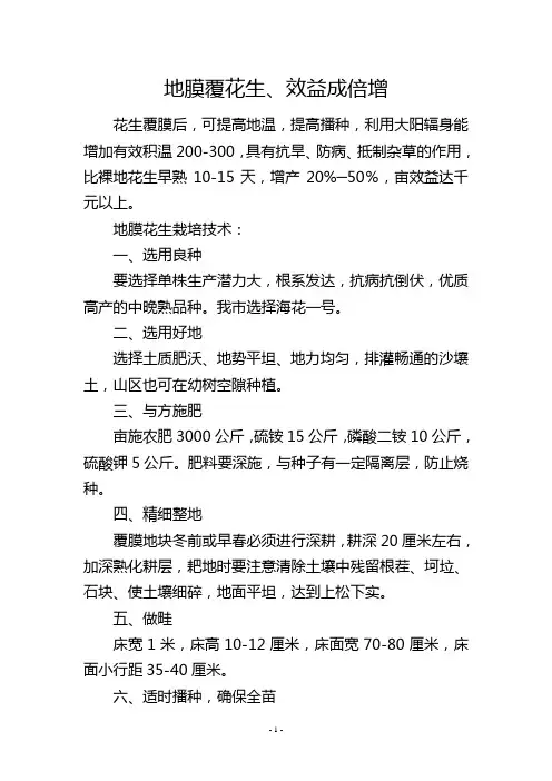 地膜覆花生、效益成倍增